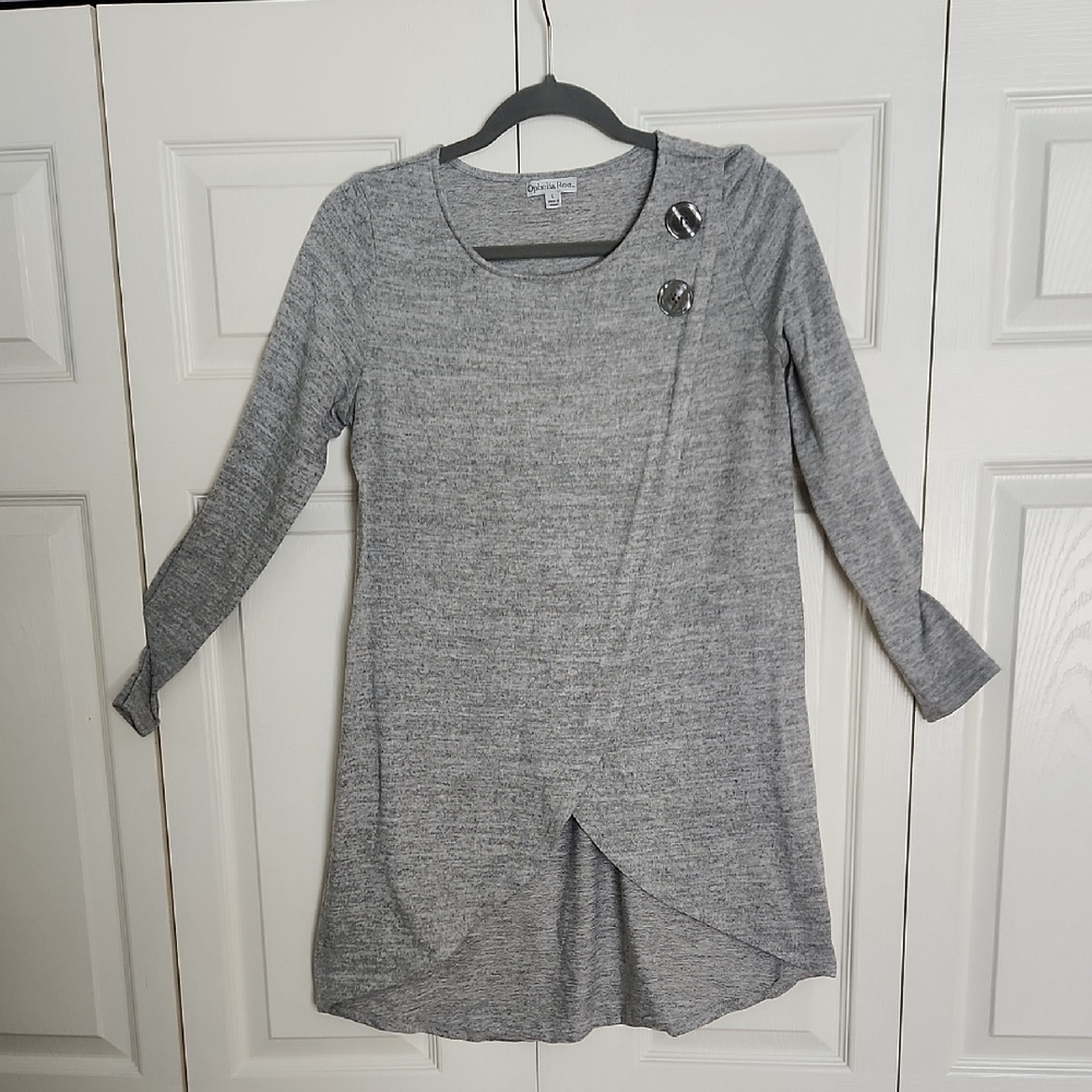 Gray Long Sleeve Tunic Top